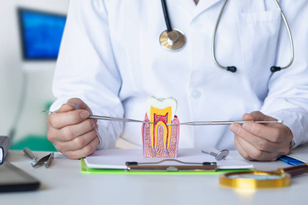 Best 24-Hour Emergency Dental Care in Montgomery, TX